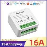 16A Smart Switch