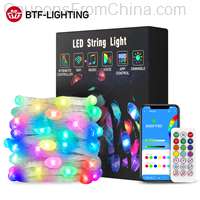 Dreamcolor USB LED String Light BT Music WS2812B 10m