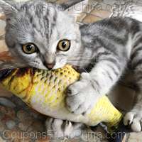 20cm Cat Favor Fish Toy