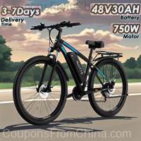DUOTTS C29 Electric Bike 48V 15Ah 750W with Bag [EU]