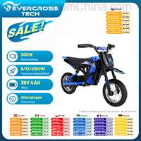 EVERCROSS EV12M Electric Scooter 36V 4Ah 300W 12inch [EU]