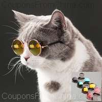 Pet Cat Round Glasses