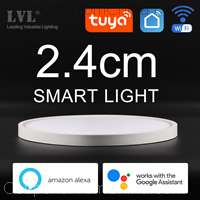 LED Smart Ceiling Light 24W